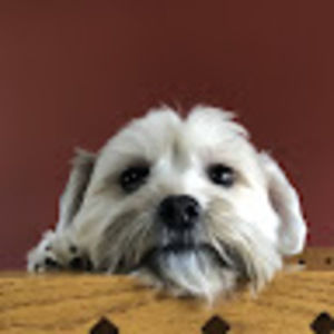 Meet your Posher, Parker